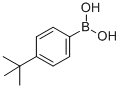 123324-71-04-叔丁基苯硼酸