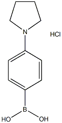229009-41-04-(N-四氢吡咯基)苯硼酸
