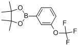 262376-31-83-(三氟甲氧基)苯硼酸频哪醇酯