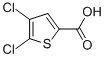 31166-29-74,5-二氯噻吩-2-羧酸