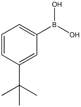 560132-24-33-叔丁基苯硼酸