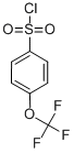 94108-56-2对三氟甲氧基苯磺酰氯