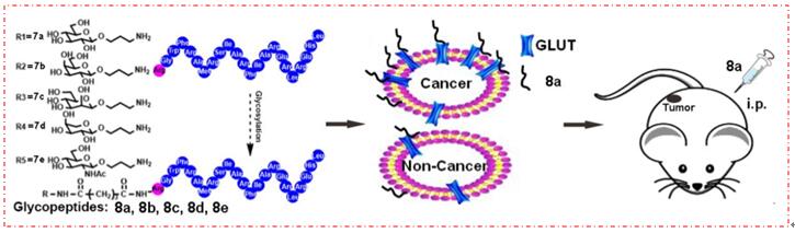 JMC：湖南师范大学刘中华和曾佑林课题组发现了一种高活性和选择性的优化抗癌肽，有望成为成新的抗癌药物