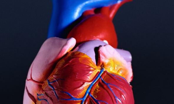 美国心脏病学会杂志：大肠杆菌血症患者，并发心内膜炎率高达26%