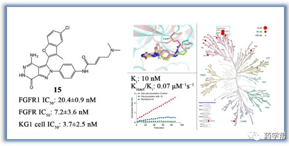 JMC：上海药物所柳红、艾菁、郑明月等发现一种强效FGFR抑制剂用于肿瘤治疗