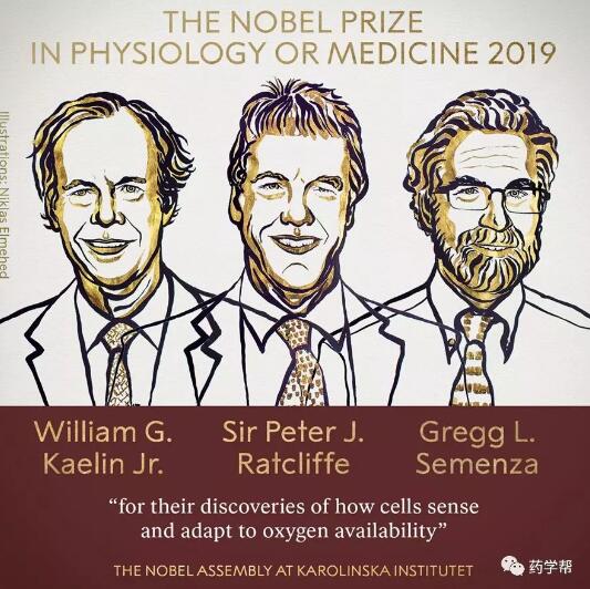 2019年诺贝尔生理学或医学奖授予美英三位科学家